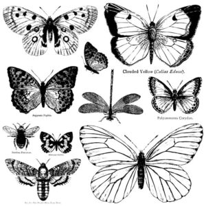 Butterflies Stamp - IOD
